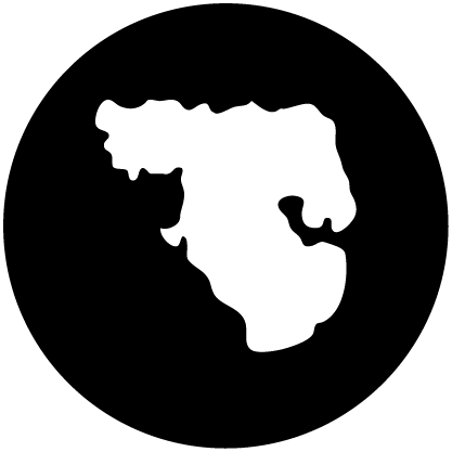 Online Reputation Management Icon