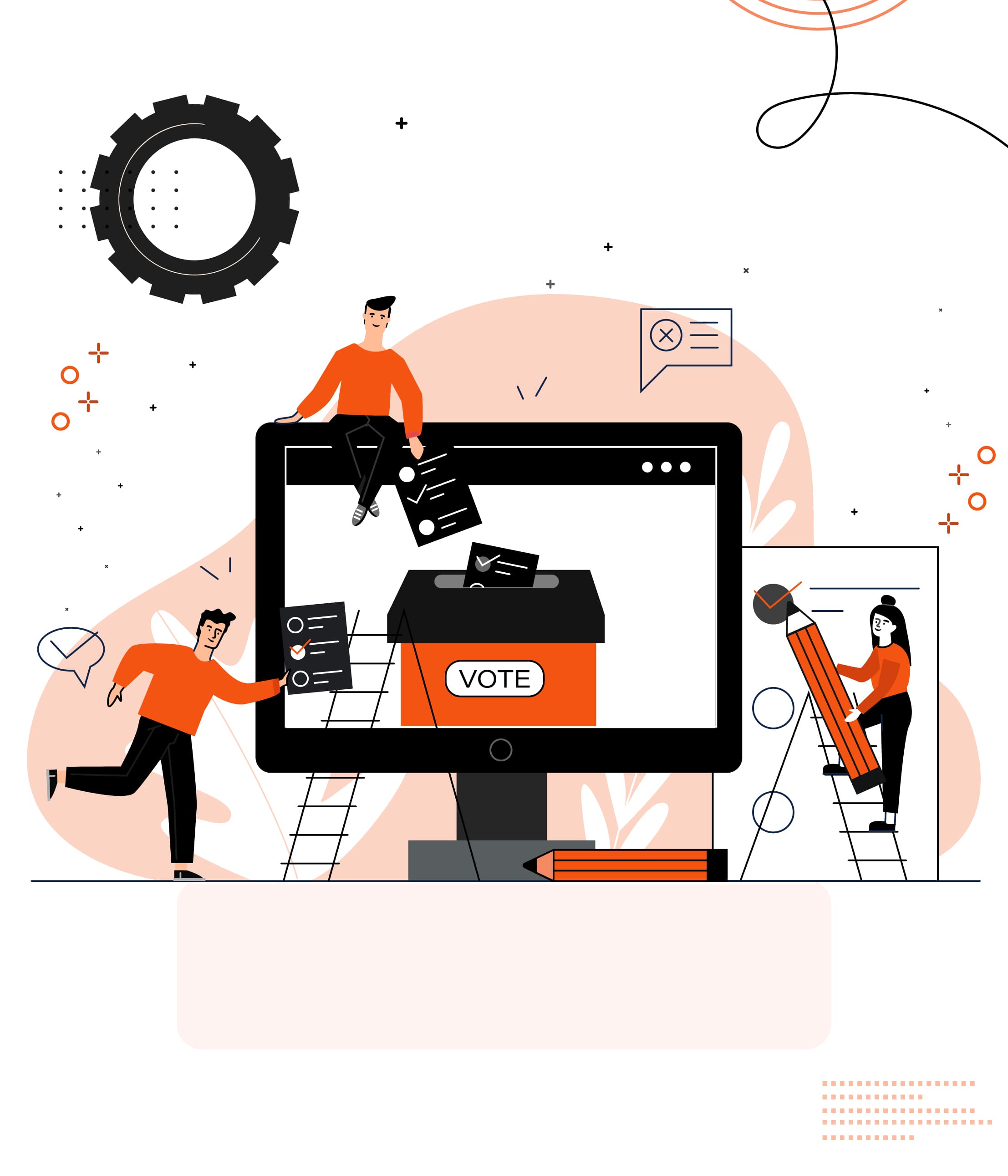 Political Campaign Strategy